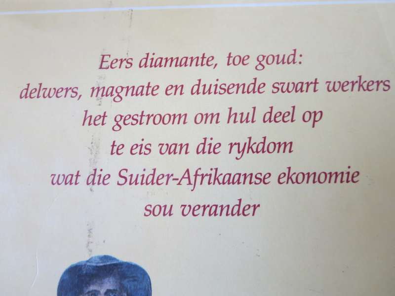 DIE ONTDEKKING VAN RYKDOM. Diko van Zyl Erfenisreeks: die 19de Eeu.