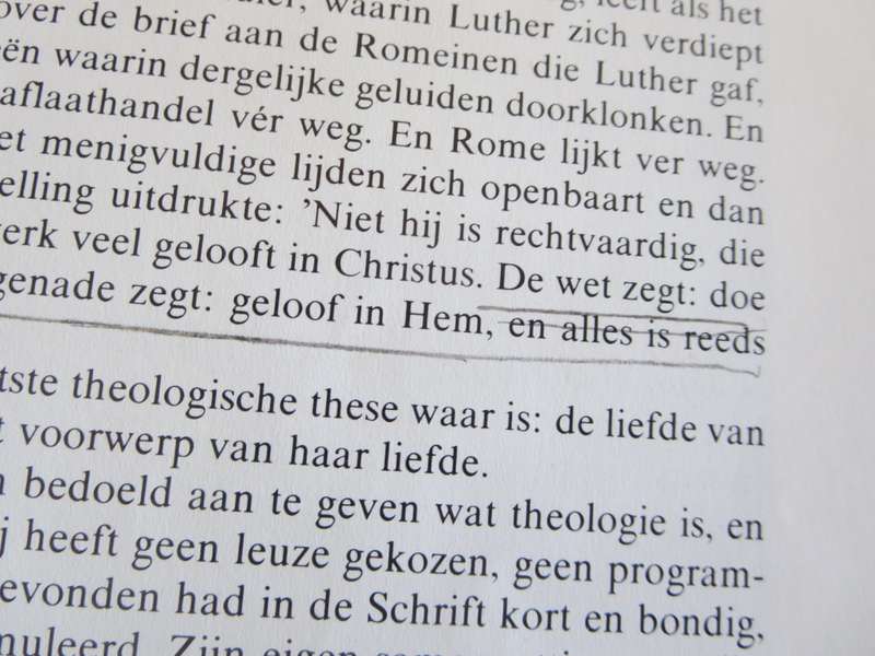 LUTHER  belofte en ervaring  deur Dr. W. van`t Spijker