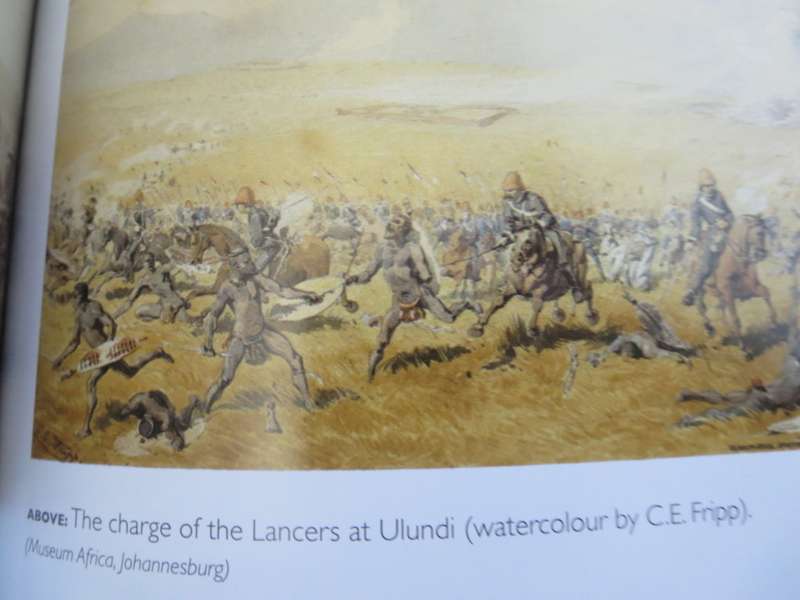 SOUTH AFRICAN BATTLES  by Tim Couzens