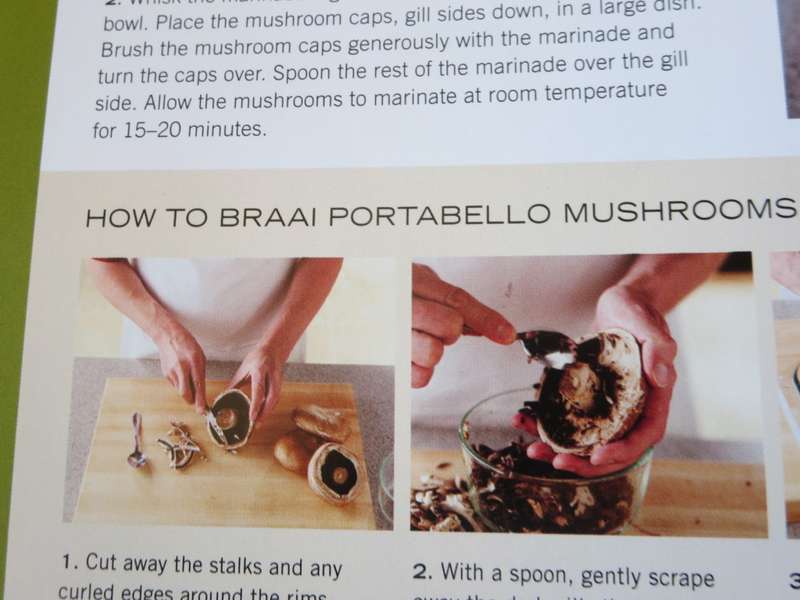 JAMIE PURVIANCE. Weber Braai Bible (More than 160 tried-and-tested recipes)