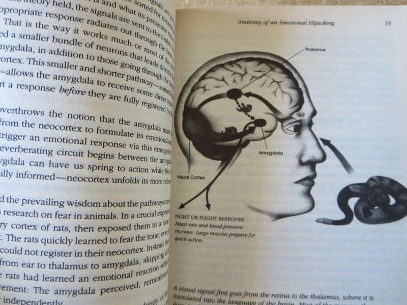 EMOTIONAL INTELLIGENCE & Working with Emotional Intelligence. Daniel Goleman (Omnibus)