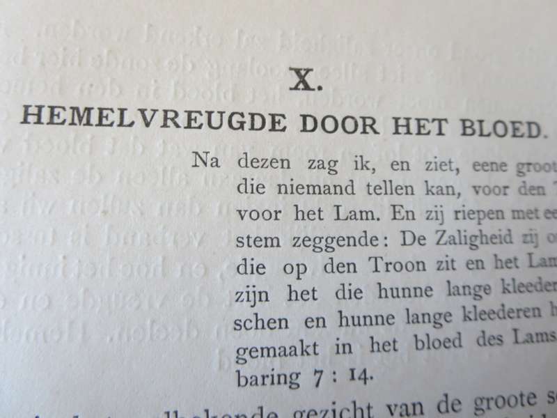 DE KRACHT VAN JEZUS` BLOED door Andrew Murray (P)
