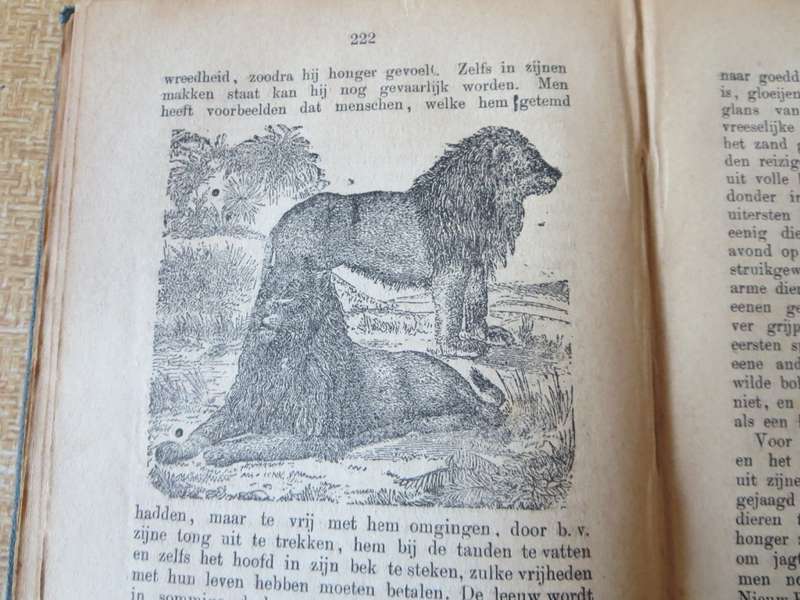 VOLKSLEESBOEK VOOR SCHOLEN EN HUISGEZINNEN IN ZUID-AFRIKA 1879 (P)