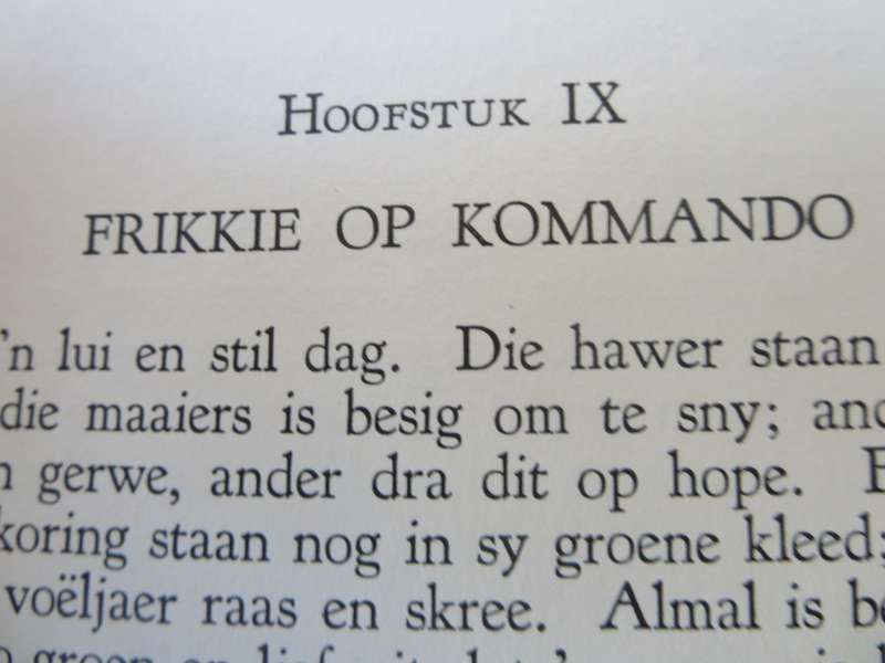 ONS GESKIEDENIS-SERIE. Tant Alie van Transvaal. (Dagboeke van Alie Badehorst)  (P)