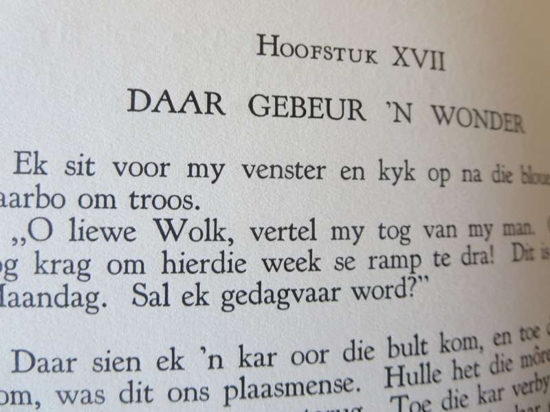 ONS GESKIEDENIS-SERIE. Tant Alie van Transvaal. (Dagboeke van Alie Badehorst)  (P)