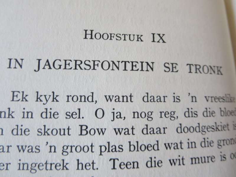 ONTHOU. In die Skaduwee van die Galg deur Hendrina Rabie-van der Merwe. (Anglo-Boereoorlog.  (P)