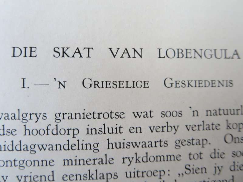 SWERWERSPORE. Sketse en verhale deur D.H. van Zyl.   (P)