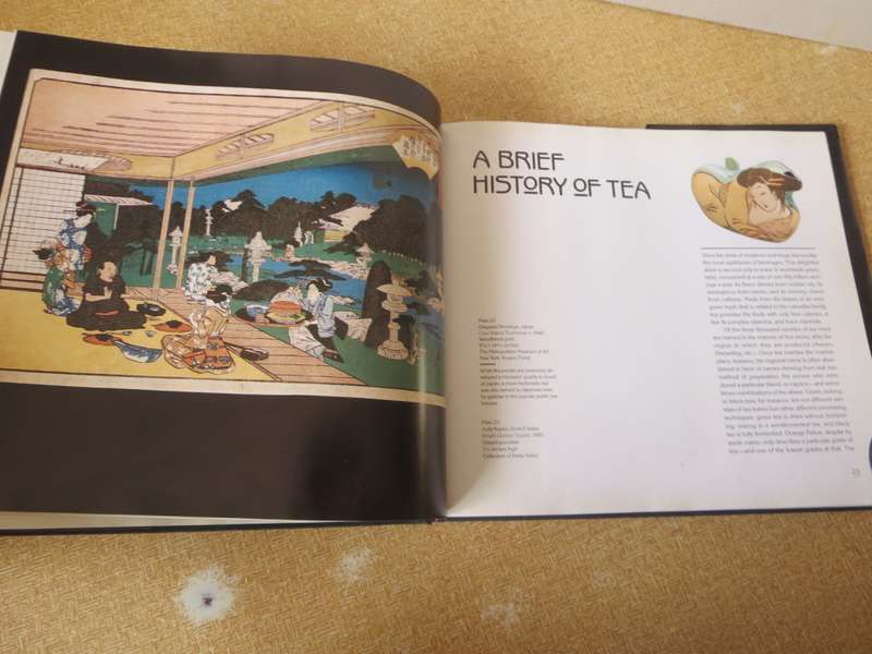 THE ECCENTRIC TEAPOT  by Garth Clark  Four hundred years of invention