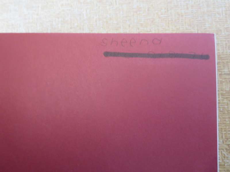 THE LEATHER BOOK  by Anne-Laure Quilleriet