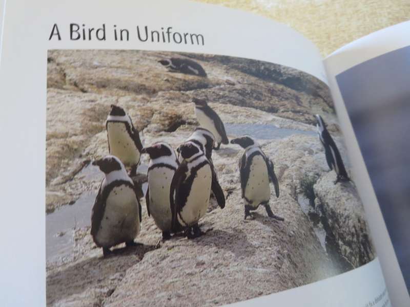 COAST TO COAST  Life Along South Africa`s Shores  by Chris Marais & Julienne du Toit