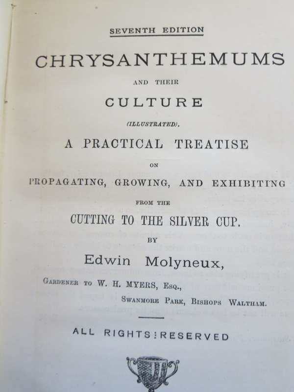 CHRYSANTHEMUMS and their CULTURE. Illustrated. By Edwin Molyneux.   (P)