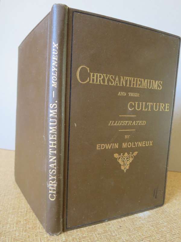 CHRYSANTHEMUMS and their CULTURE. Illustrated. By Edwin Molyneux.   (P)