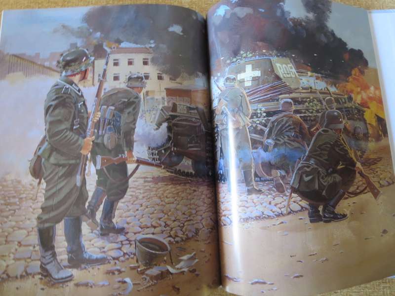 BATTLES OF WORLD WAR II  POLAND 1939. Germanys `lightning strike` Book 1