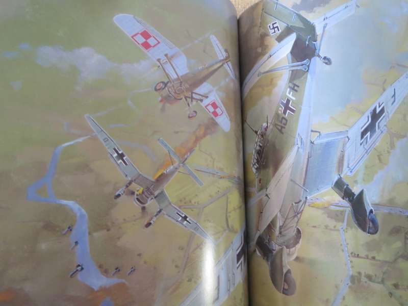 BATTLES OF WORLD WAR II  POLAND 1939. Germanys `lightning strike` Book 1