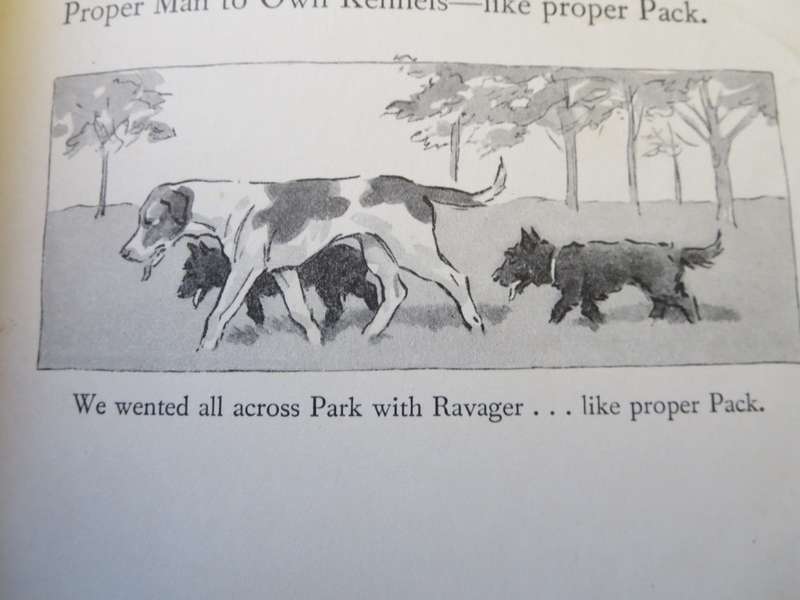 THY SERVANT A DOG told by Boots. Edited by Rudyard Kipling. Illustrated by G.L. Stampa.    (P)