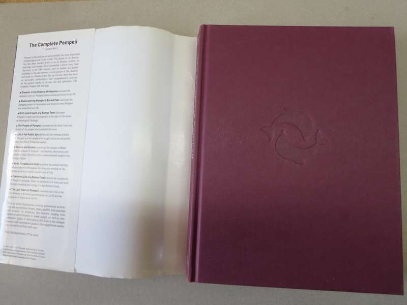 THE COMPLETE POMPEII by Joanne Berry.