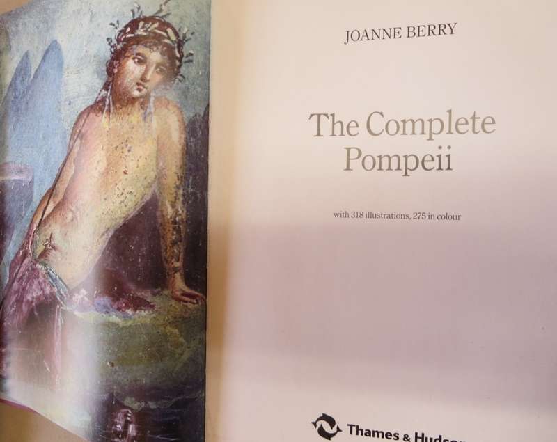 THE COMPLETE POMPEII by Joanne Berry.