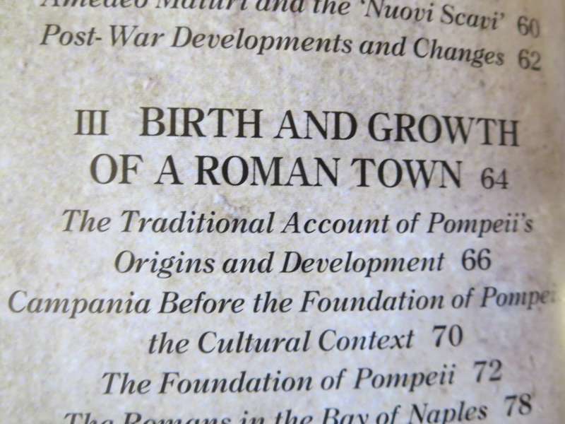THE COMPLETE POMPEII by Joanne Berry.