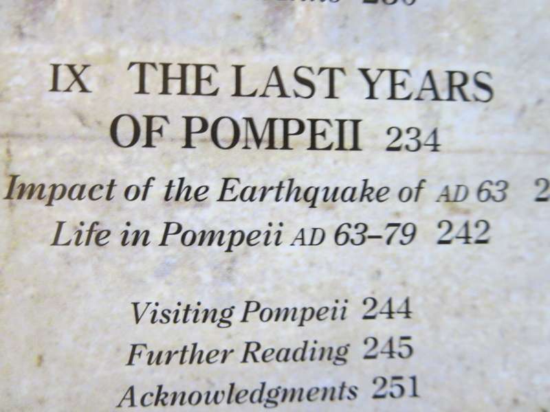 THE COMPLETE POMPEII by Joanne Berry.