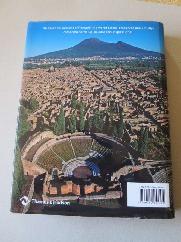THE COMPLETE POMPEII by Joanne Berry.