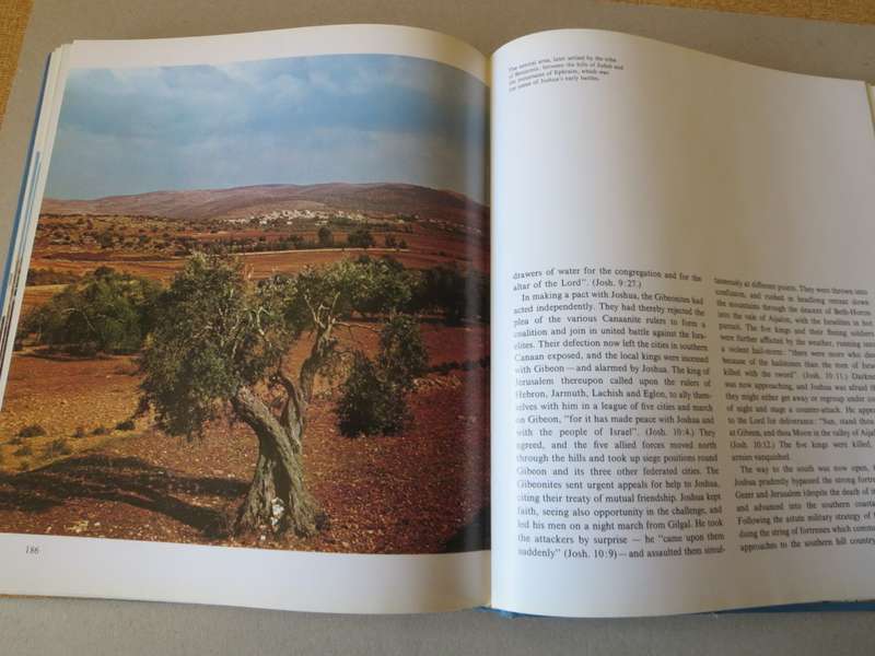 IN THE FOOTSTEPS OF MOSES. Moshe Pearlman.