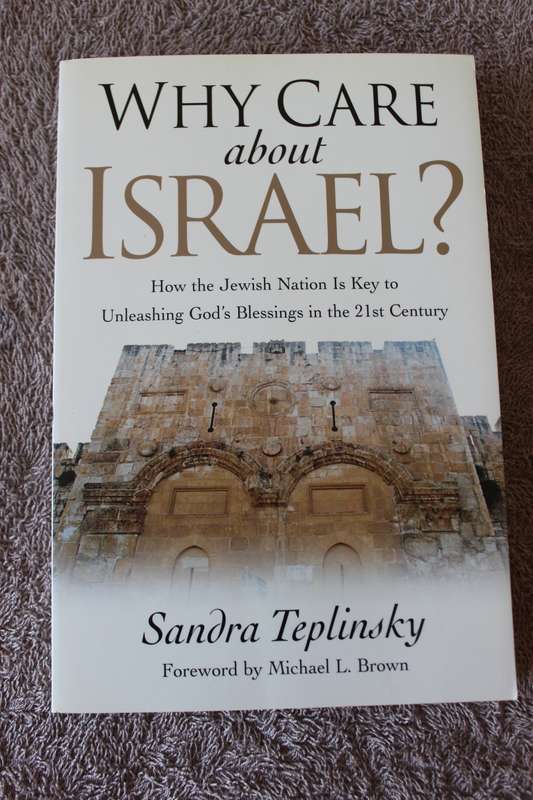 WHY CARE ABOUT ISRAEL? Sandra Teplinsky.