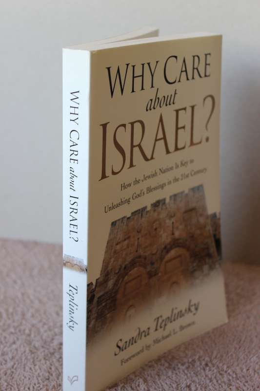 WHY CARE ABOUT ISRAEL? Sandra Teplinsky.
