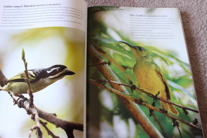 BIRDS OF MALAWI: The Splendour of Diversity. Photography by Bentley Palmer. Text by John Wilson.