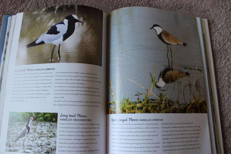 BIRDS OF MALAWI: The Splendour of Diversity. Photography by Bentley Palmer. Text by John Wilson.