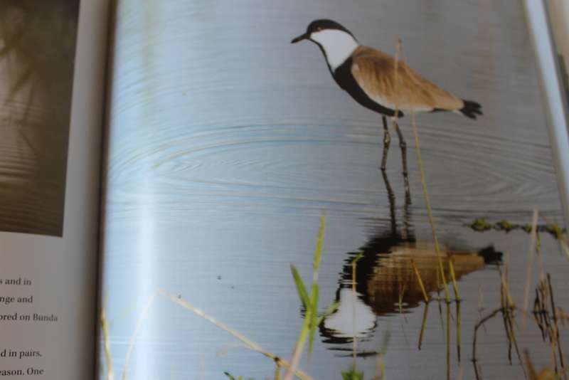 BIRDS OF MALAWI: The Splendour of Diversity. Photography by Bentley Palmer. Text by John Wilson.