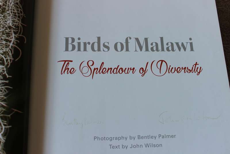 BIRDS OF MALAWI: The Splendour of Diversity. Photography by Bentley Palmer. Text by John Wilson.