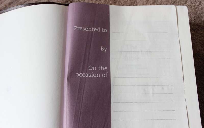 THE EVERYDAY BIBLE. Amplified version. Notes and Commentary by Joyce Meyer.