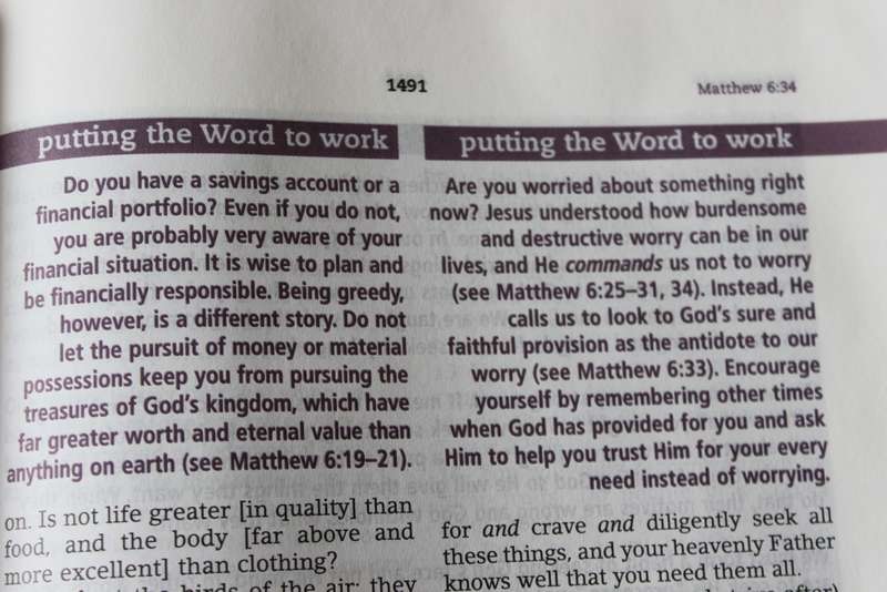THE EVERYDAY BIBLE. Amplified version. Notes and Commentary by Joyce Meyer.