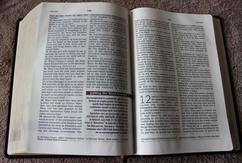THE EVERYDAY BIBLE. Amplified version. Notes and Commentary by Joyce Meyer.