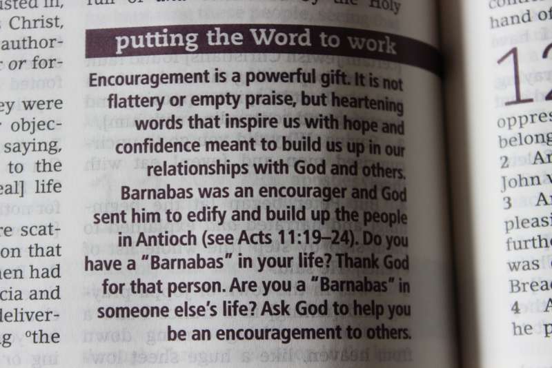 THE EVERYDAY BIBLE. Amplified version. Notes and Commentary by Joyce Meyer.