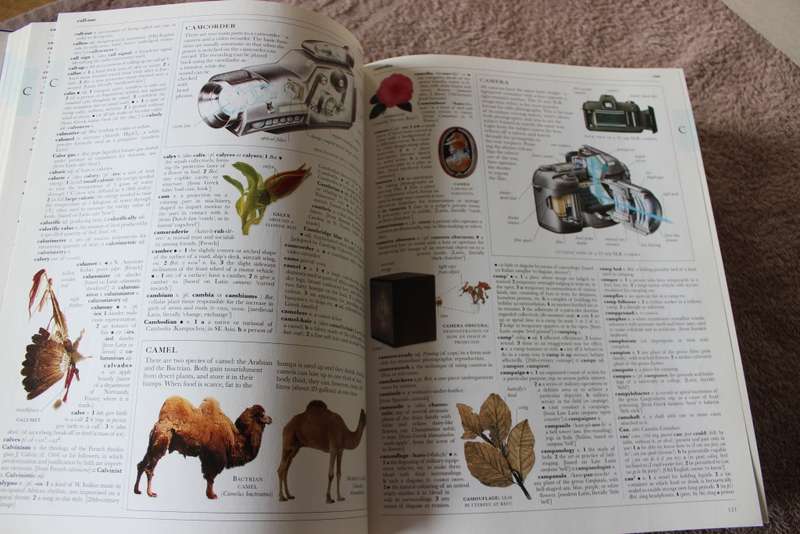 READER`S DIGEST. Illustrated Oxford Dictionary.