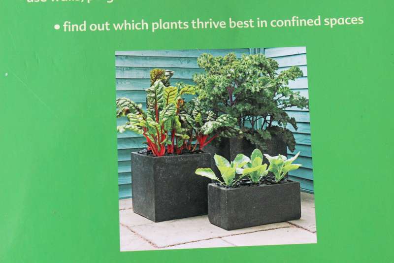 THE EDIBLE CONTAINER GARDEN. Michael Guerra.