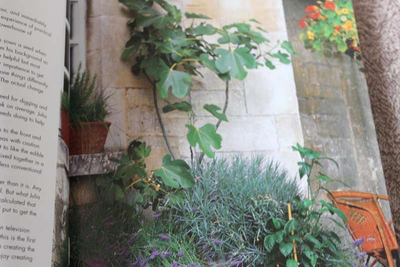 THE EDIBLE CONTAINER GARDEN. Michael Guerra.
