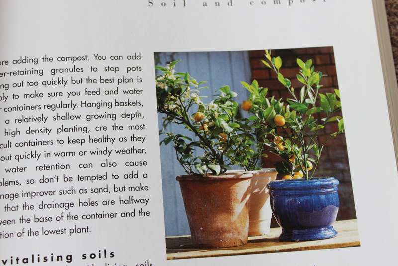 THE EDIBLE CONTAINER GARDEN. Michael Guerra.
