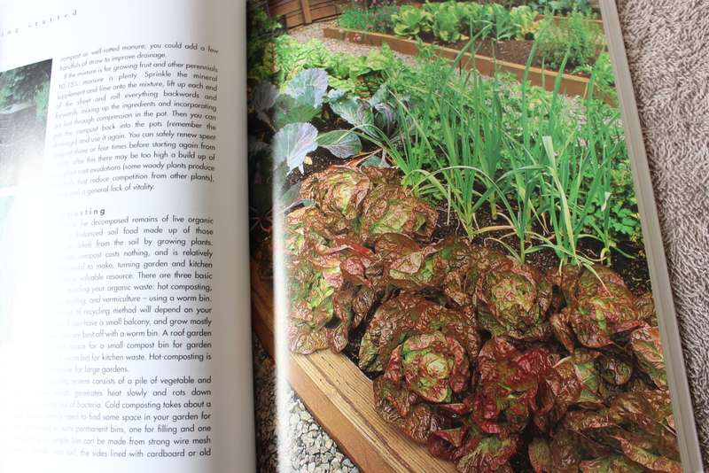 THE EDIBLE CONTAINER GARDEN. Michael Guerra.
