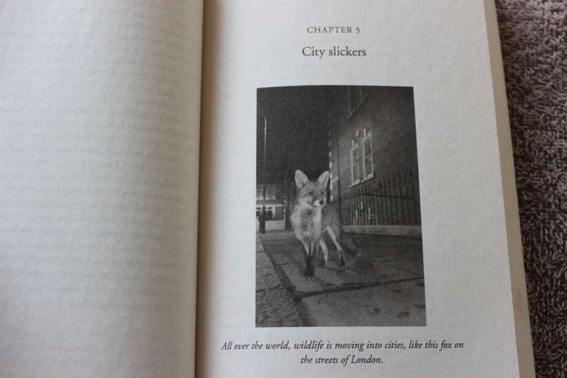 DARWIN COMES TO TOWN by Menno Schilthuizen. (How the Urban Jungle Drives Evolution).