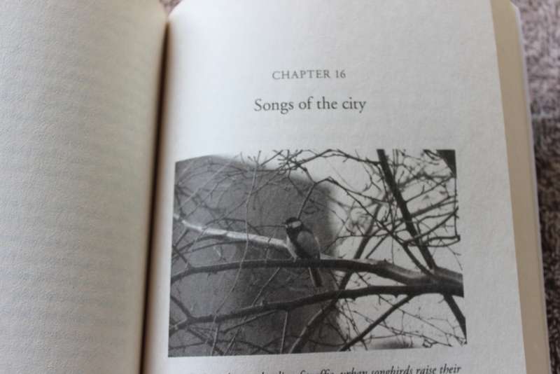 DARWIN COMES TO TOWN by Menno Schilthuizen. (How the Urban Jungle Drives Evolution).