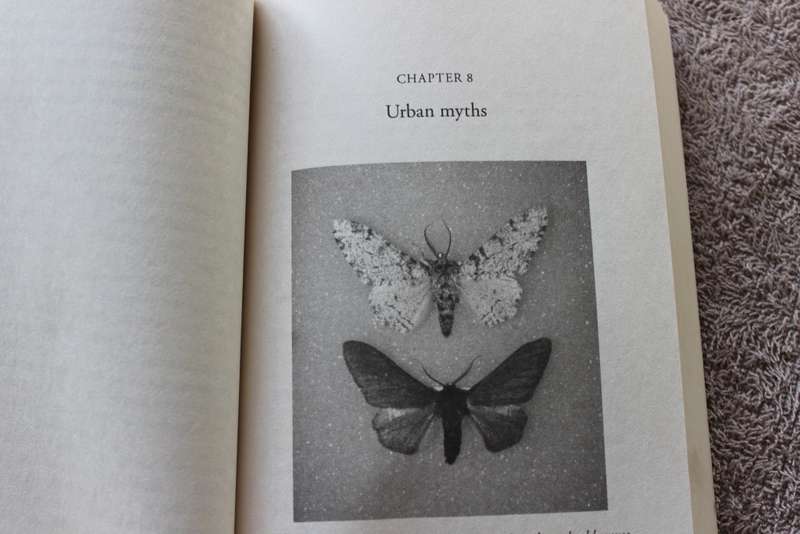 DARWIN COMES TO TOWN by Menno Schilthuizen. (How the Urban Jungle Drives Evolution).