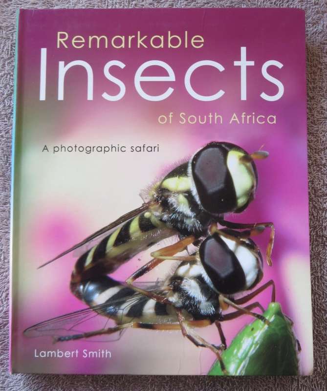 REMARKABLE INSECTS OF SOUTH AFRICA. A photographic safari. Lambert Smith.