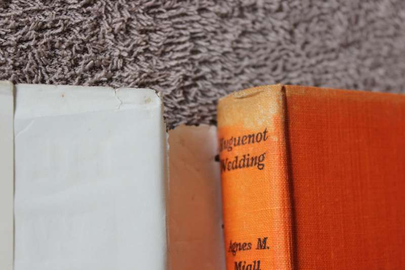 HUGUENOT WEDDING  by Agnes M. Miall