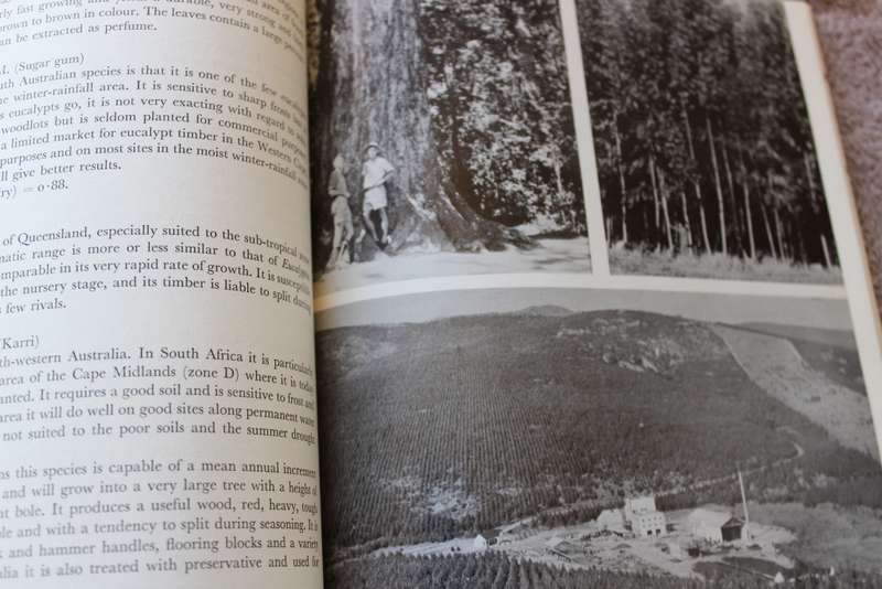 FORESTRY AND FOREST INDUSTRY in South Africa.  Mikael Grut.   (W)