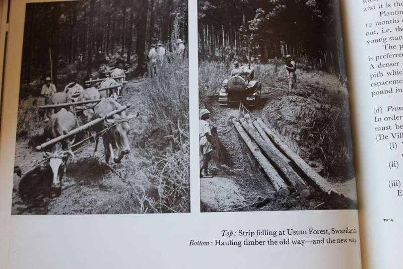 FORESTRY AND FOREST INDUSTRY in South Africa.  Mikael Grut.   (W)