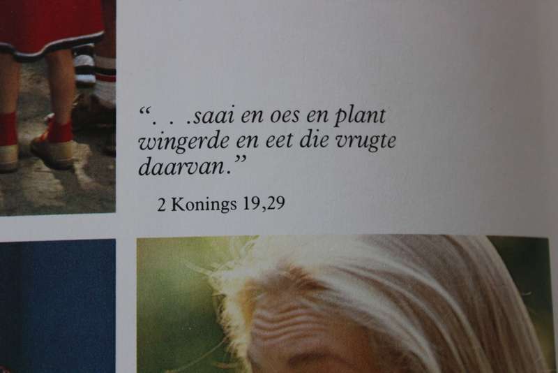 BOOM VAN DIE LEWE  Die verhaal van Kaapse Vrugte  deur Siegfried Stander