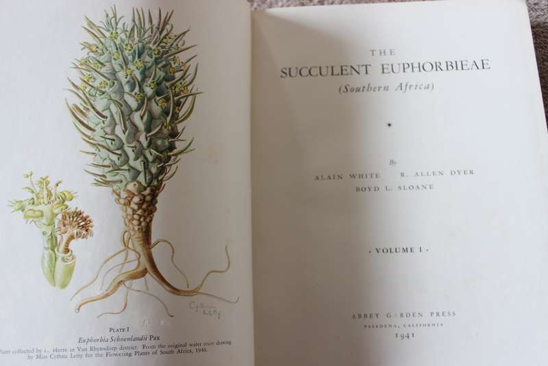 THE SUCCULENT EUPHORBIEAE. (Southern Africa) by Alain White, Allen Dyer and Boyd Sloane. Vol. 1. (W)
