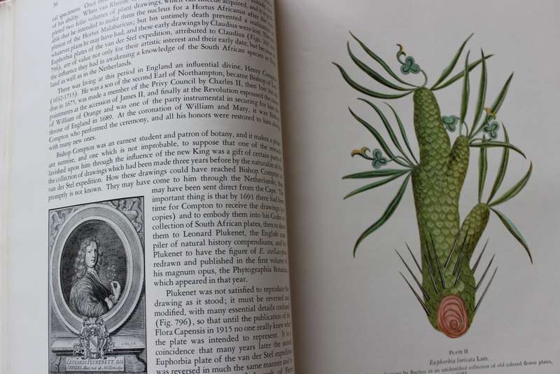 THE SUCCULENT EUPHORBIEAE. (Southern Africa) by Alain White, Allen Dyer and Boyd Sloane. Vol. 1. (W)